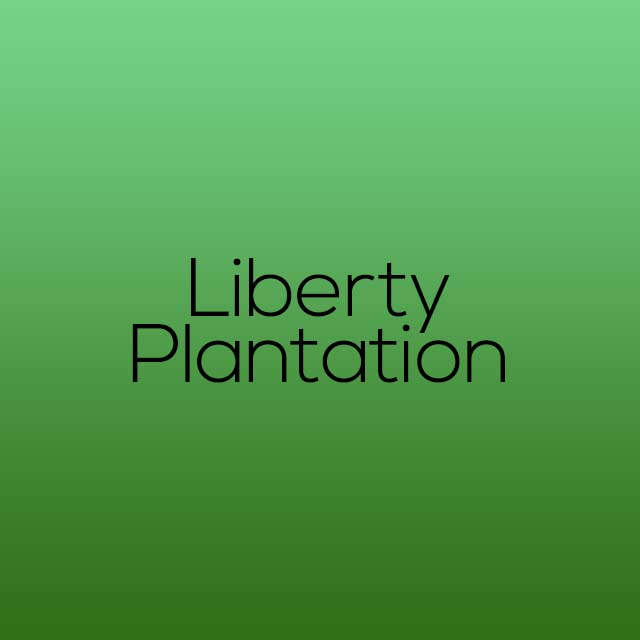 liberty plantation